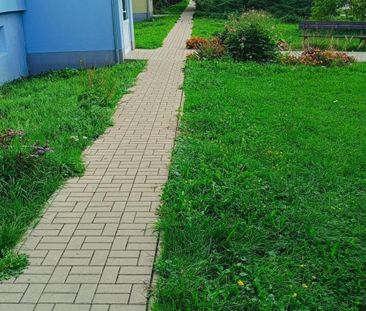 Pronájem bytu 2+1 56 m2 - Fotografie 6