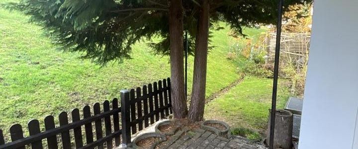 Demnächst frei! 4-Zimmer-Wohnung mit Terrasse und neuen Badezimmer in Plettenberg - Foto 1