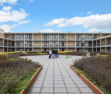 Operaplein 217 - Foto 6 | Rentumo