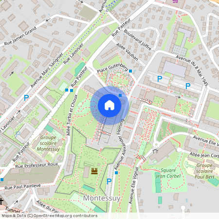 110 Av. Alexander Fleming, 69300 Caluire-et-Cuire