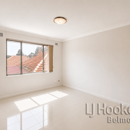 Updated Two Bedroom Unit in the Heart of Belmore! - Photo 4