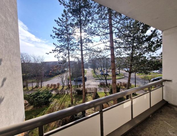 *NEU* 1-Zimmer-Wohnung mit Balkon & Ausblick – Leipzig-Grünau - Photo 1
