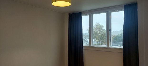 1 Bedroom Apartment on Carlton Gore Rd, Newmarket - Photo 1