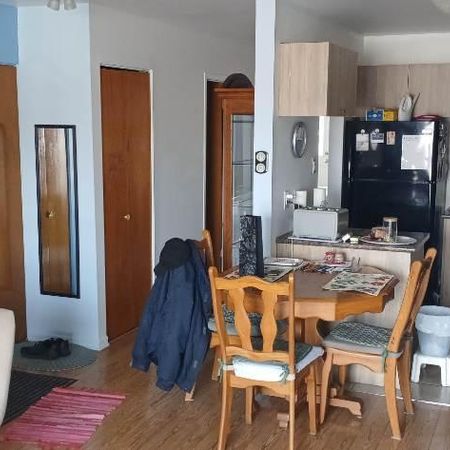 Verdun, grand 4 1/2 - Photo 4