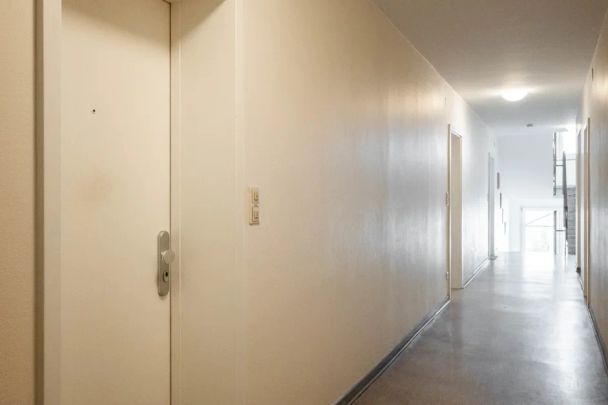 Gepflegtes Appartement mit Balkon & Fahrstuhl in ruhiger Lage von Bad Salzuflen - Foto 1