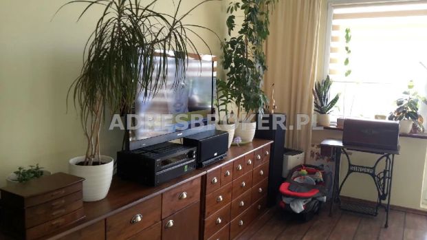 Mieszkanie, wynajem Gliwice, Kopernik - Фото 1