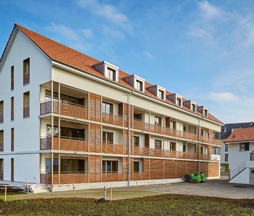 Charmante 2.5-Zimmerwohnung im Erdgeschoss in Uster - Photo 6