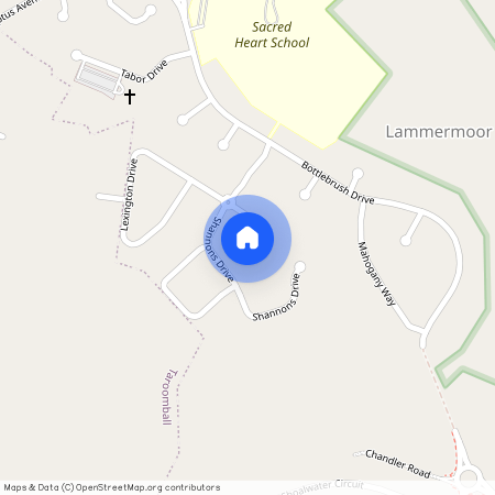 4 Pegasus Court, Lammermoor, QLD 4703