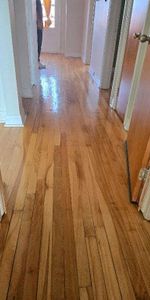 4 1/2 Situe a Villeray/Park Ex - Photo 4