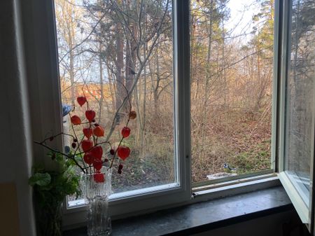 Kvarnhagsgatan, Hässelby - Photo 5