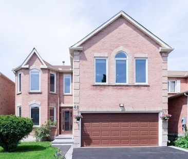 For Lease - 48 Samuel Oster Avenue Unit# Lower, Vaughan, Ontario - Photo 1