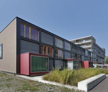 small, good and mine. - Foto 1