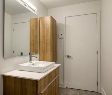 9675 Av. Papineau, app.402, H2B 3C8, H2B 3C8, Montréal - Photo 2