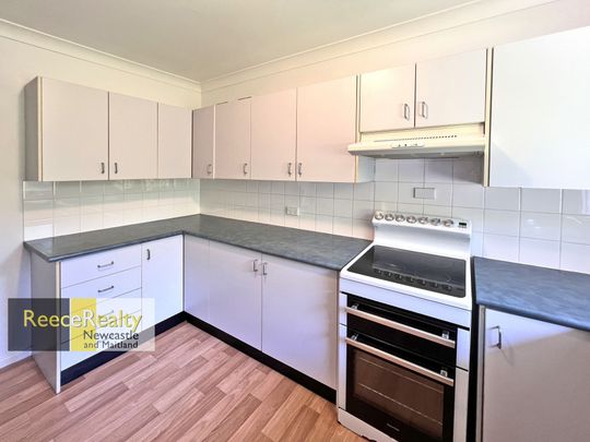 33 Wakool Street, Windale - Photo 1