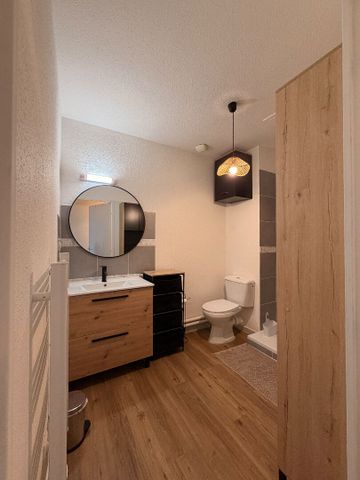 Location appartement 1 pièce, 23.24m², Perpignan - Photo 5