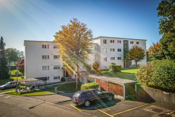 Rent a 3 rooms apartment in Hinwil - Photo 1