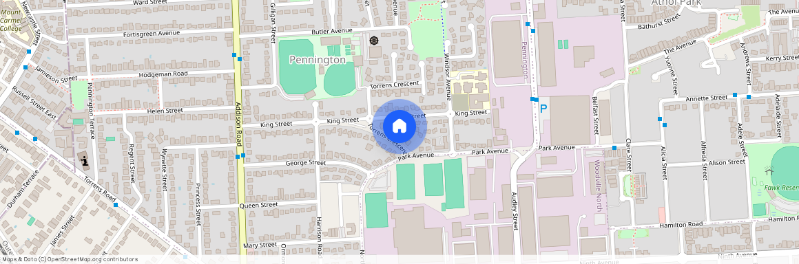 8 Torrens Crescent, SA 5013, Pennington