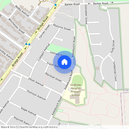 16 Frazer Avenue, SA 5096, Gulfview Heights