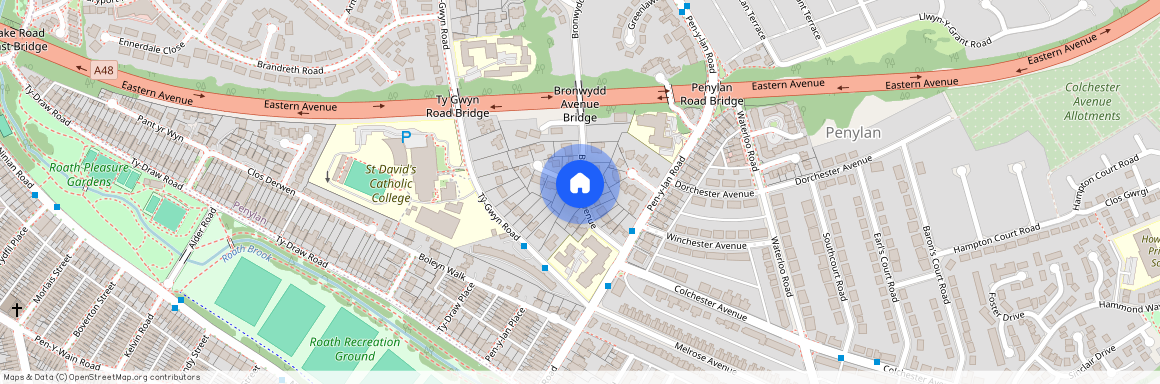 Bronwydd Avenue, Penylan