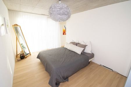 2.5 Zimmer, 65 m², 3. Stock - Foto 5