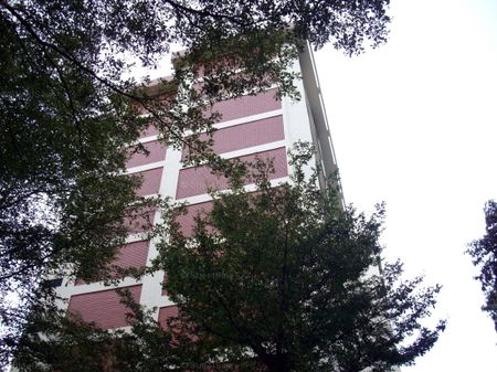 Blk 343 Clementi Avenue 5 (Clementi), HDB 3 Rooms - For Rent - Photo 5