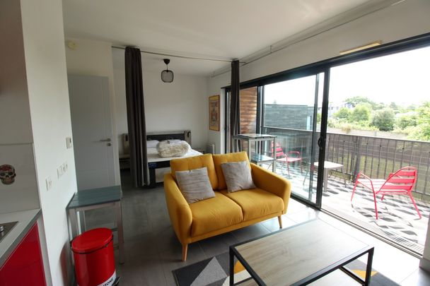 Location Appartement 2 pièces Meublé 36m² THOUARE SUR LOIRE 44470 - Photo 1