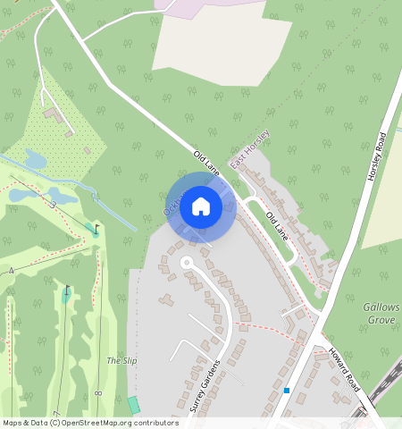 Cobham, Old Lane Gardens, KT11 1NN, Surrey