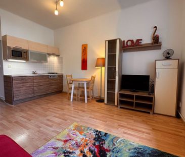 Pronájem bytu 1+kk • 30 m² bez realitkyV Domově, Praha - Žižkov - Photo 2