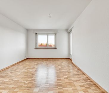 Living next to the Schüssinsel – Vivre près de l’île de la Suze - Photo 2