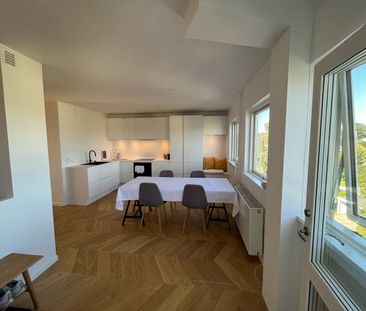 Lille Strandvej, 2900 Hellerup, Danmark (208-1818-01-001) - Foto 6