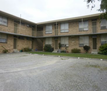 Renovated 1 Bedroom Unit - Photo 3