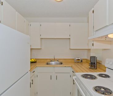 Pineridge Apartments - Photo 4