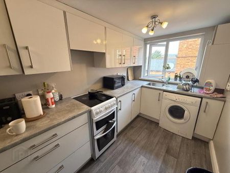 Apt 3, 73 Eglantine Avenue, Belfast, BT9 6EW - Photo 3