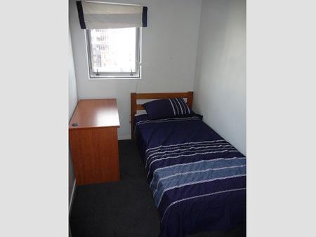 Single Bedroom to rent in Shared Apartment - Photo 4