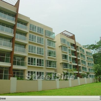 The Raintree (D21), Condominium - For Rent - Photo 1