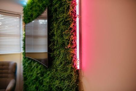 Mixed use to rent - Photo 2