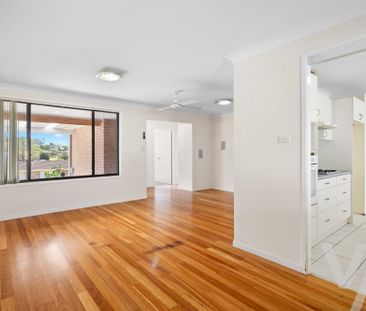 24 Haddington Drive, Cardiff South NSW 2285 - House For Rent | Domain - Photo 6