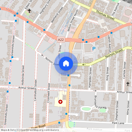 4/ 61 Milton Street, NSW 2131, Ashfield