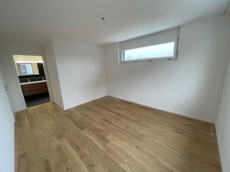 Wohnpark "untere Grüneck" in 8555 Müllheim - Photo 2