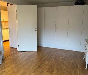 Kungsgatan, Landskrona - Foto 2