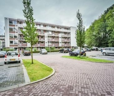 Apartment Zaandam - Leverkruidweg - Photo 1