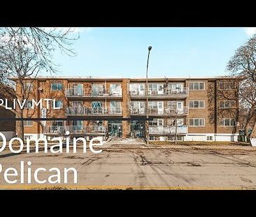 Domaine Pelican - Photo 3