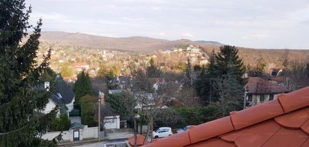 Dutka Ákos utca - Fotó 5