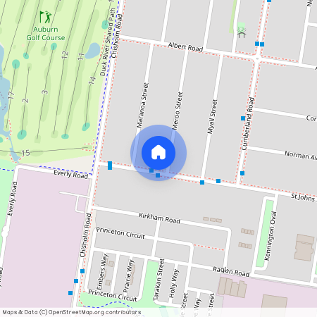 51 Meroo Street Auburn, NSW 2144