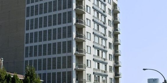 1 Bedroom - 3465 Rue Redpath, Montréal - Photo 3