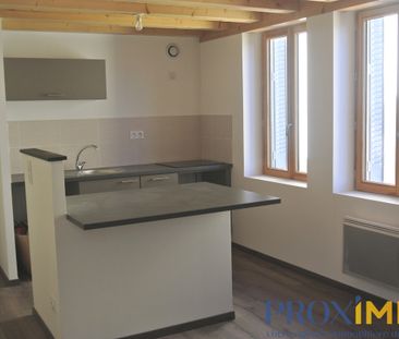 Location Appartement 1 pièce 20m² VOIRON 38500 - Photo 2