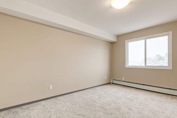 Premier Suite - 2 Bedroom - Photo 1
