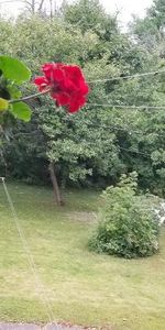 Perle Rare à Saint Lambert - Grand 3 1/2 Renové, entouré d'arbres et près du Village - Photo 3