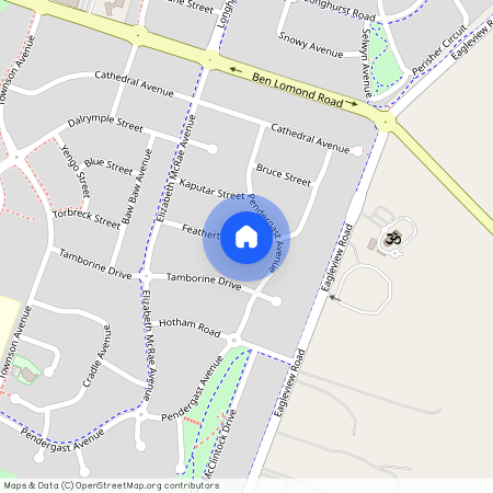 60 Pendergast Avenue, NSW 2566, Minto