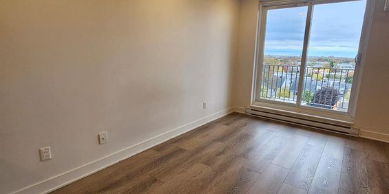 1 CH - 1 SDB - Montréal - $1,295 /mo - Photo 3
